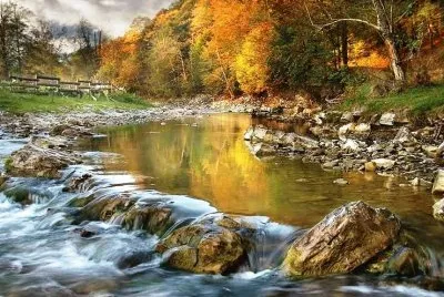 165 jigsaw puzzle