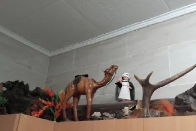 desierto en la cocina