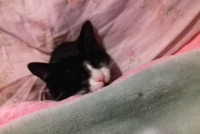 Milena durmiendo cÃ³moda...