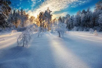 Atardecer de invierno jigsaw puzzle