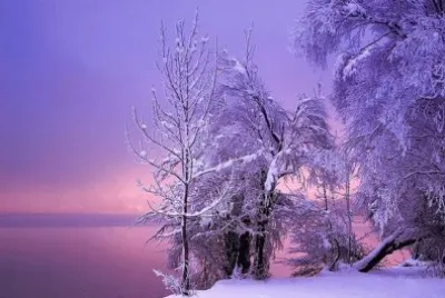 FotografÃ­a de invierno jigsaw puzzle