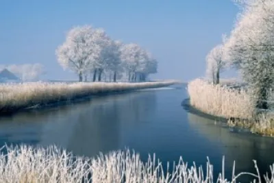 imagenes-de-paisajes-de-invierno-arboles jigsaw puzzle