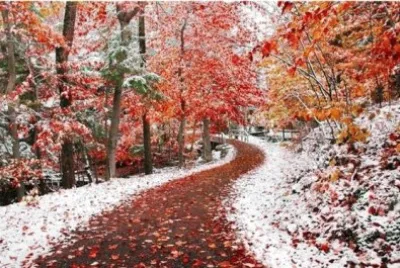 OtoÃ±o-invierno jigsaw puzzle