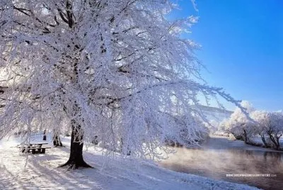 Paisaje nevado jigsaw puzzle