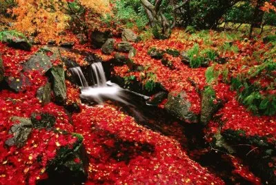 JapÃ³n jigsaw puzzle