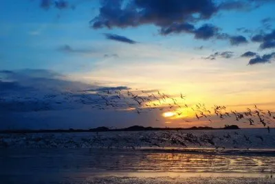 Isla de Coche, Venezuela