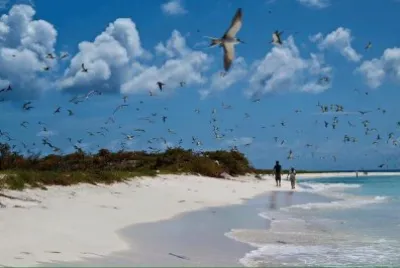 ArchipiÃ©lago Las Aves, Venezuela jigsaw puzzle