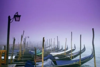 VENEZIA