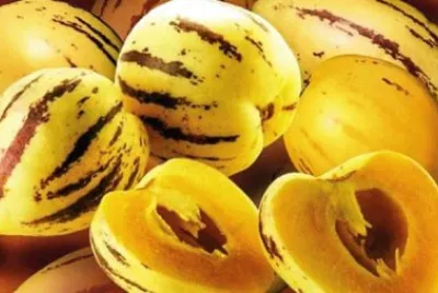 Pepino chileno,fruta
