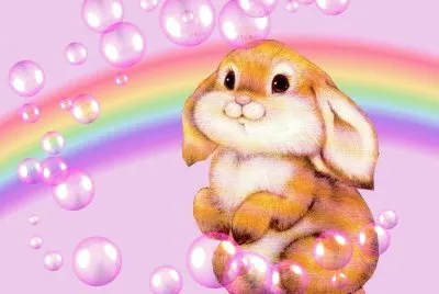 petit lapin