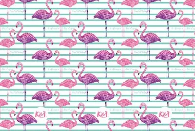 FLAMINGOS