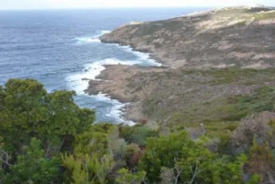 paysage