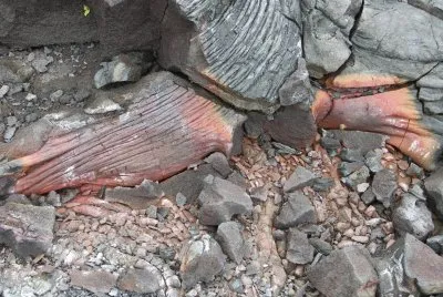 Volcan