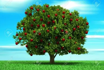 Ãrbol de manzanas