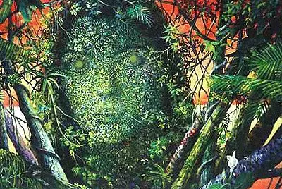 Ayahuasca 1