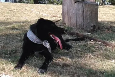 en el parrque