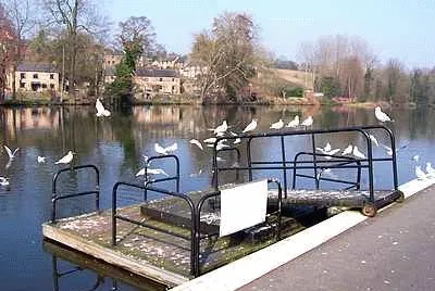 River Derwent at Belper