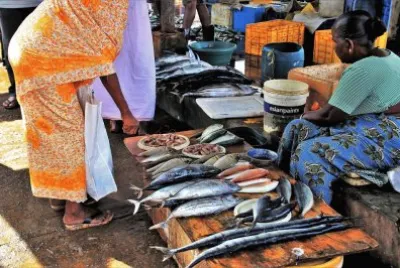 Fish Market