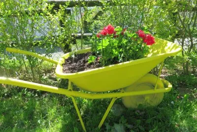 פאזל של la carriola