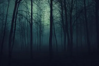 Dark bosque 2