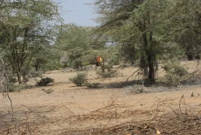 nakalel