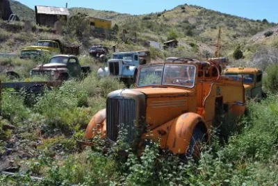 Cars Plantation (LOL)