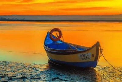 Aveiro-Portugal