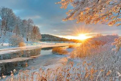 suecia