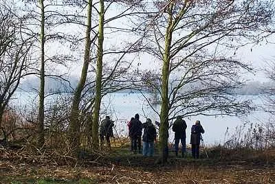 Birdwatchers