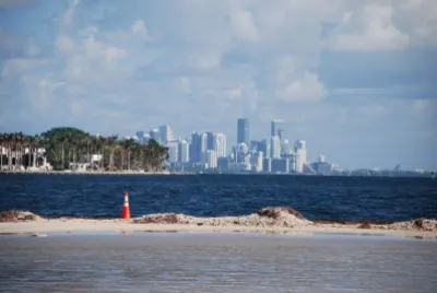 Miami 2