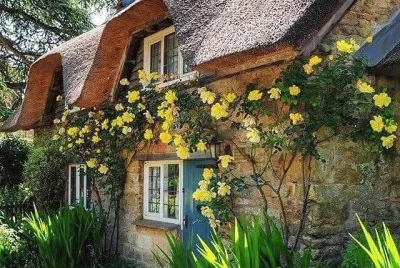 806 jigsaw puzzle