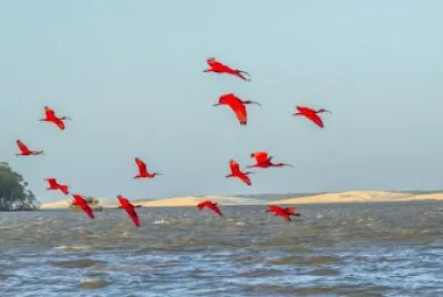 delta do parnaÃ­ba brazil