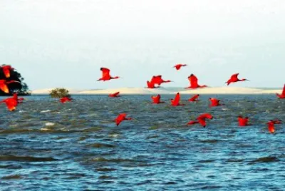 delta do parnaÃ­ba brazil