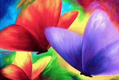 Amazing Butterflies