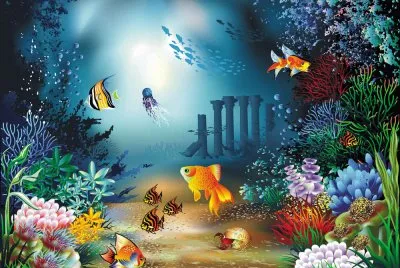 æµ·åº•