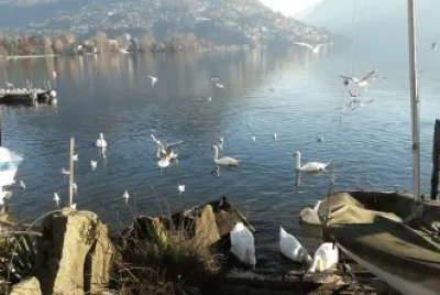 Lugano