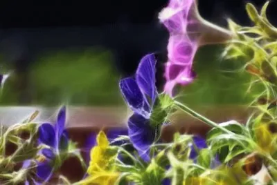 Fairy Stalk (LOL)