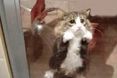 I hate showers
