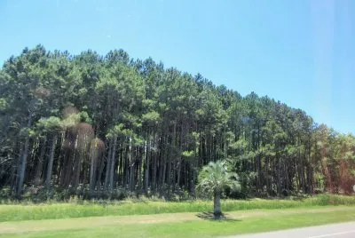 CampiÃ±a de Uruguay.