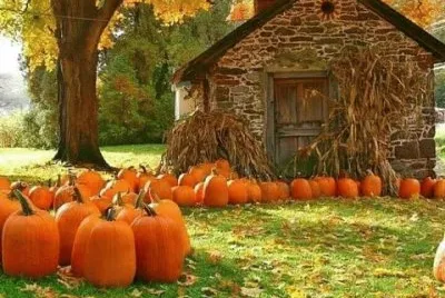 foto jigsaw puzzle