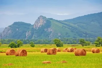 mountains