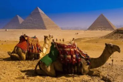 פאזל של camels