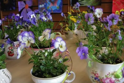 פאזל של Pretty Tea Cup Planters
