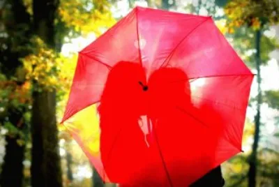 Umbrella