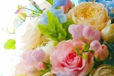roses