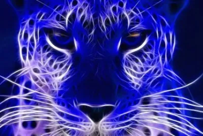 Enigma