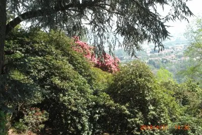BURCINA