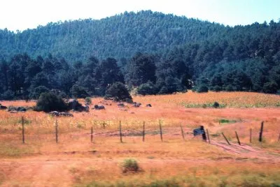 Sierra Tarahumara, Chihuahua.