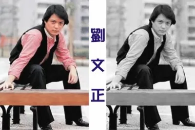 Taiwan Superstar Liu Wenzheng