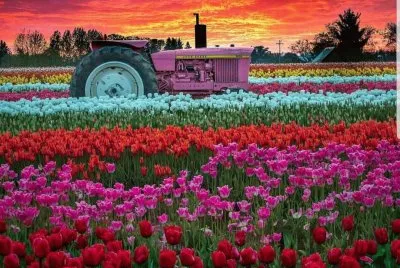 foto jigsaw puzzle
